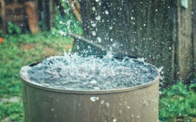 New Poem: A Sound Sharp Enough to Count—