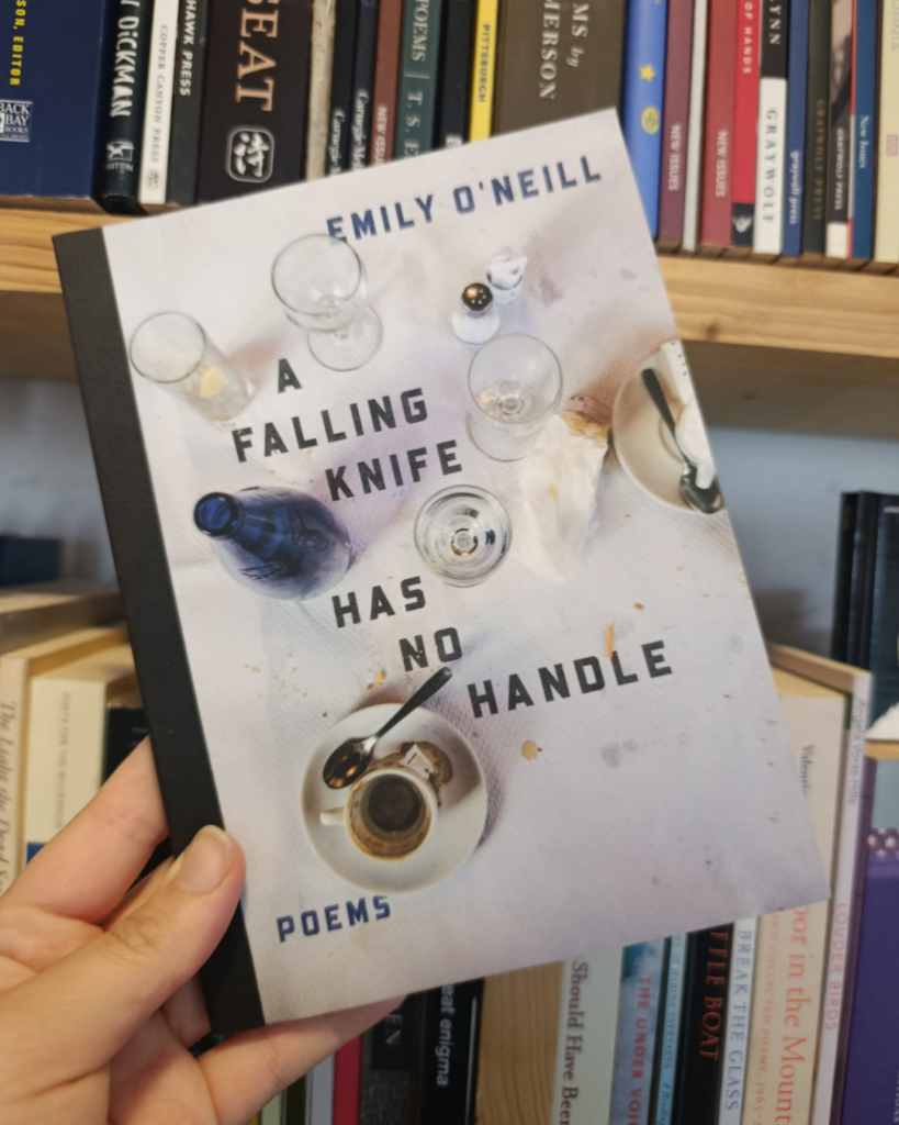 A Falling Knife Has No Handle by Emily O'Neill